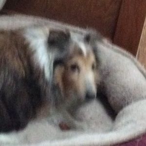 Meet your Posher, Mags